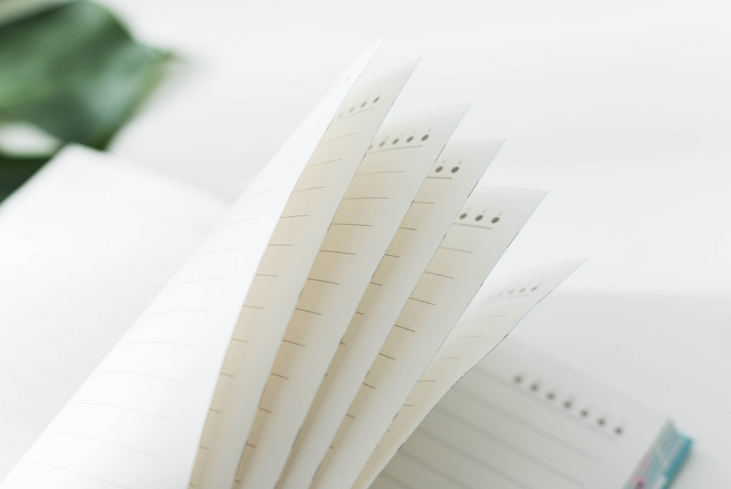 Four Seasons Hardcover Notebook