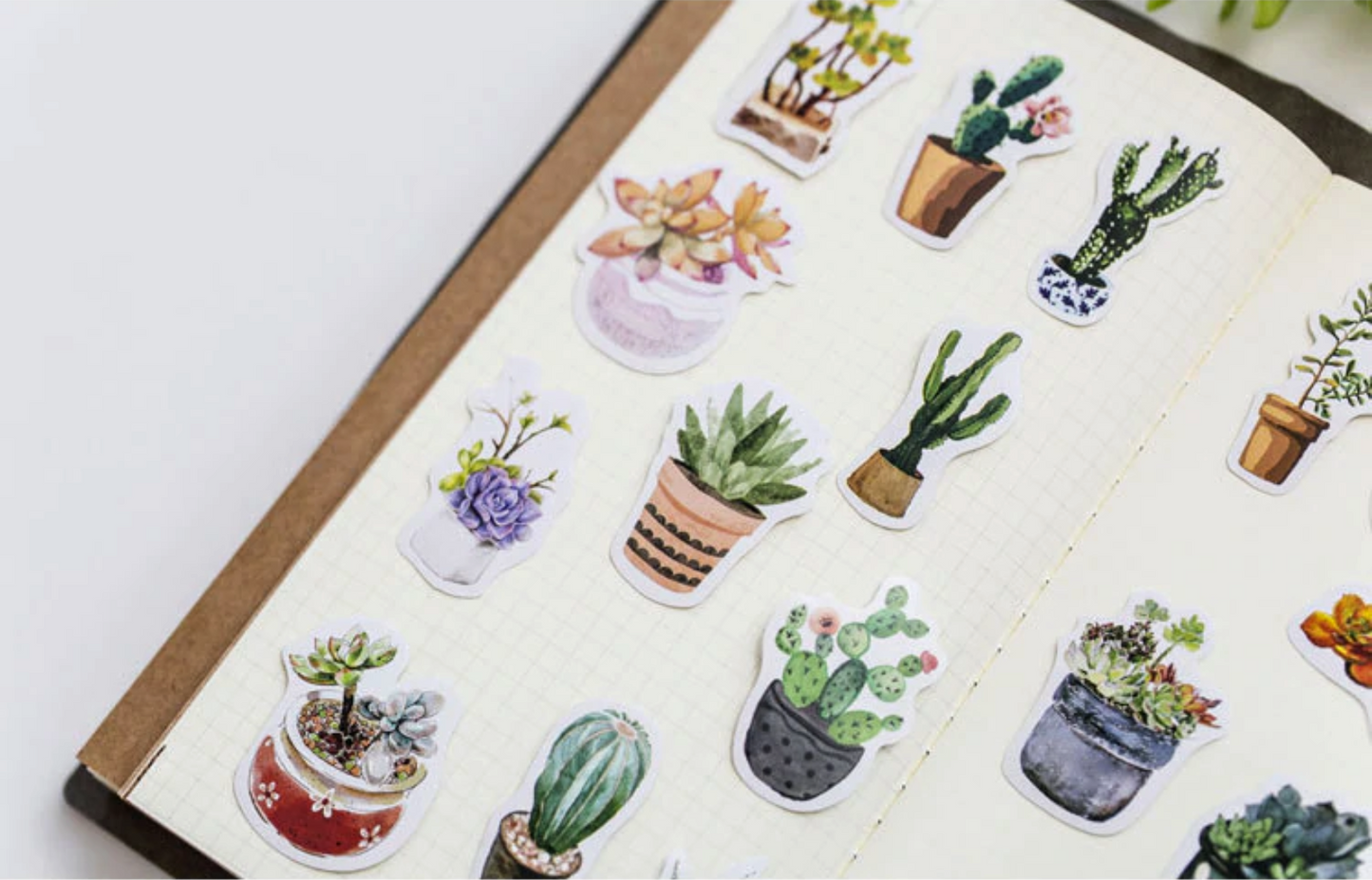Pot Plant Paper Stickers