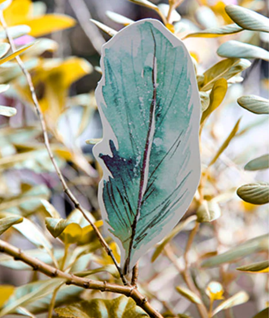 Watercolor Feather Greeting Cards