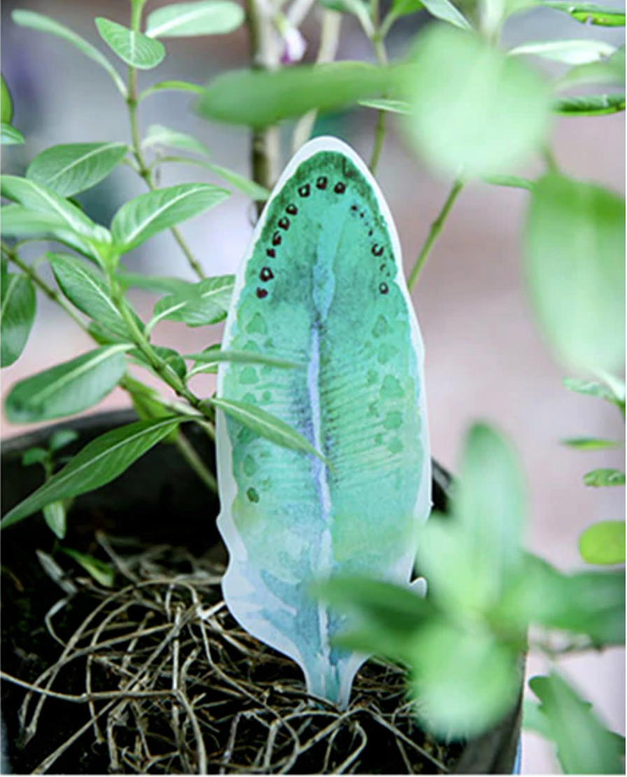 Watercolor Feather Greeting Cards