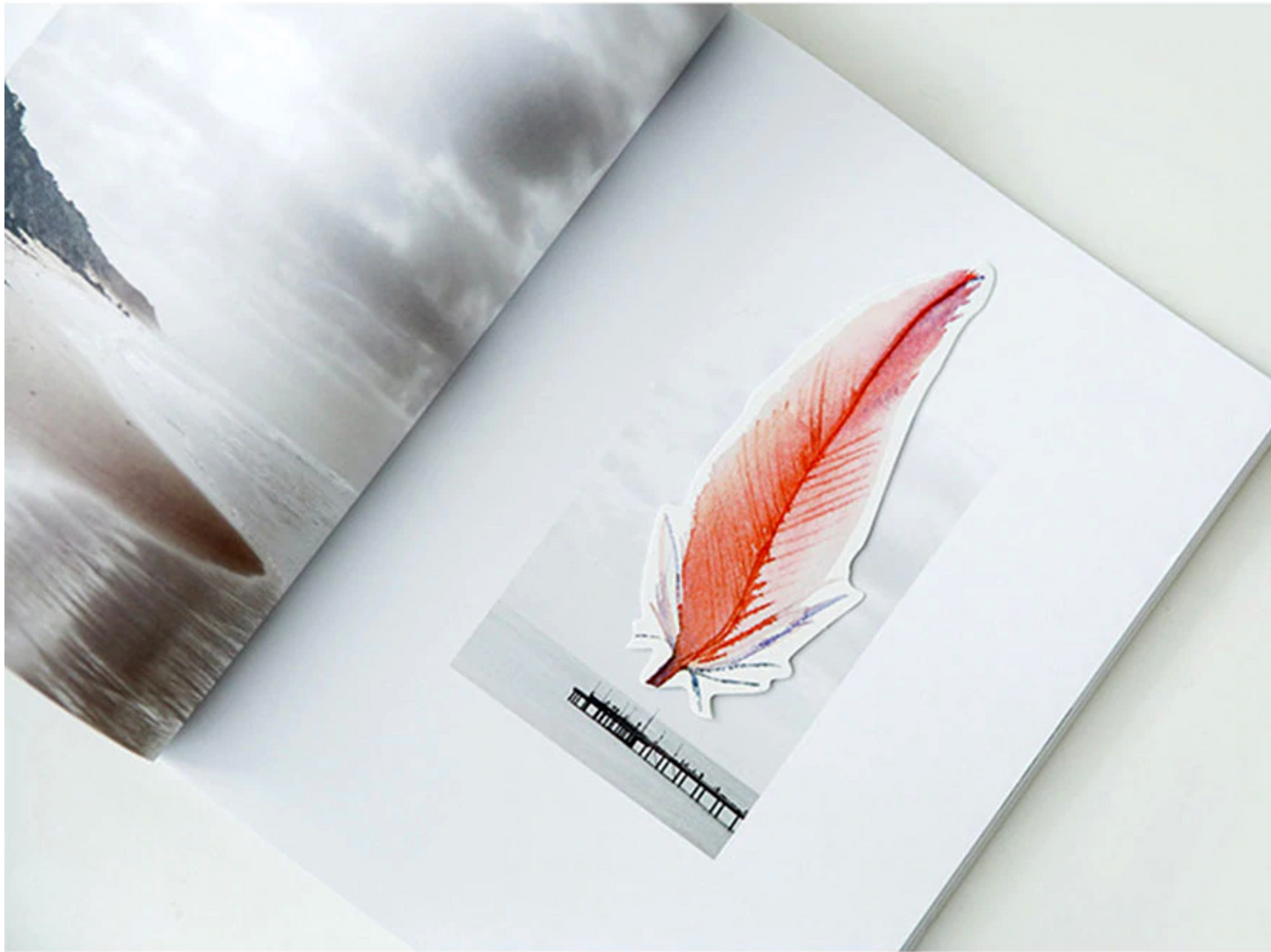 Watercolor Feather Greeting Cards