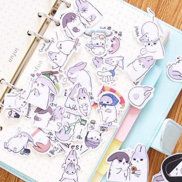 Chubby Rabbit Stickers Set