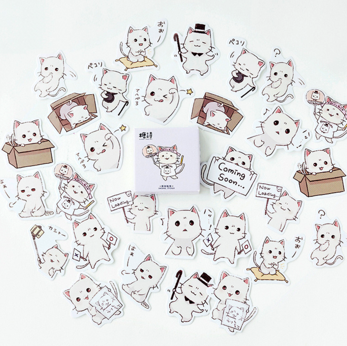 Mr Paws Paper Stickers