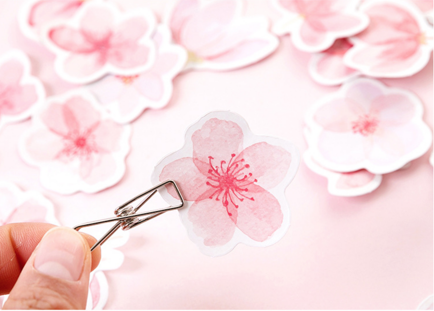 Cherry Blossom Paper Stickers