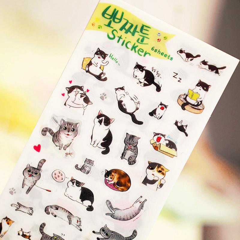 Korean Cat Stickers 6-pack