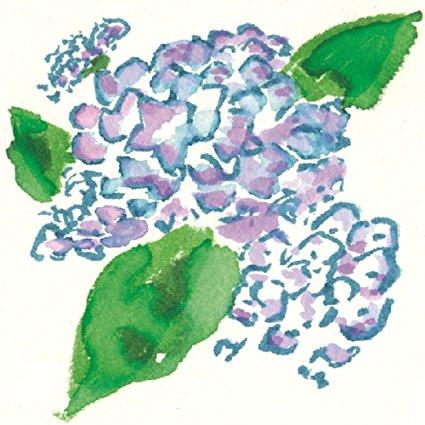 Akashiya Sai Watercolor Brush Pen - 5 Summer Color Set