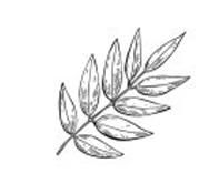 Forest Life Wooden Stamp