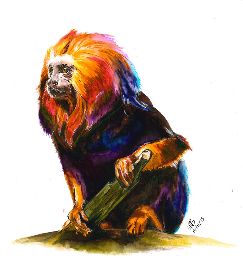 Kuretake ZIG Clean Color Real Brush Pen - 6 Color Set