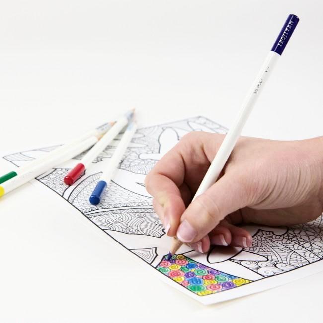 Tombow Irojiten Colored Pencil Dictionary - 30 Color Set - Rainforest