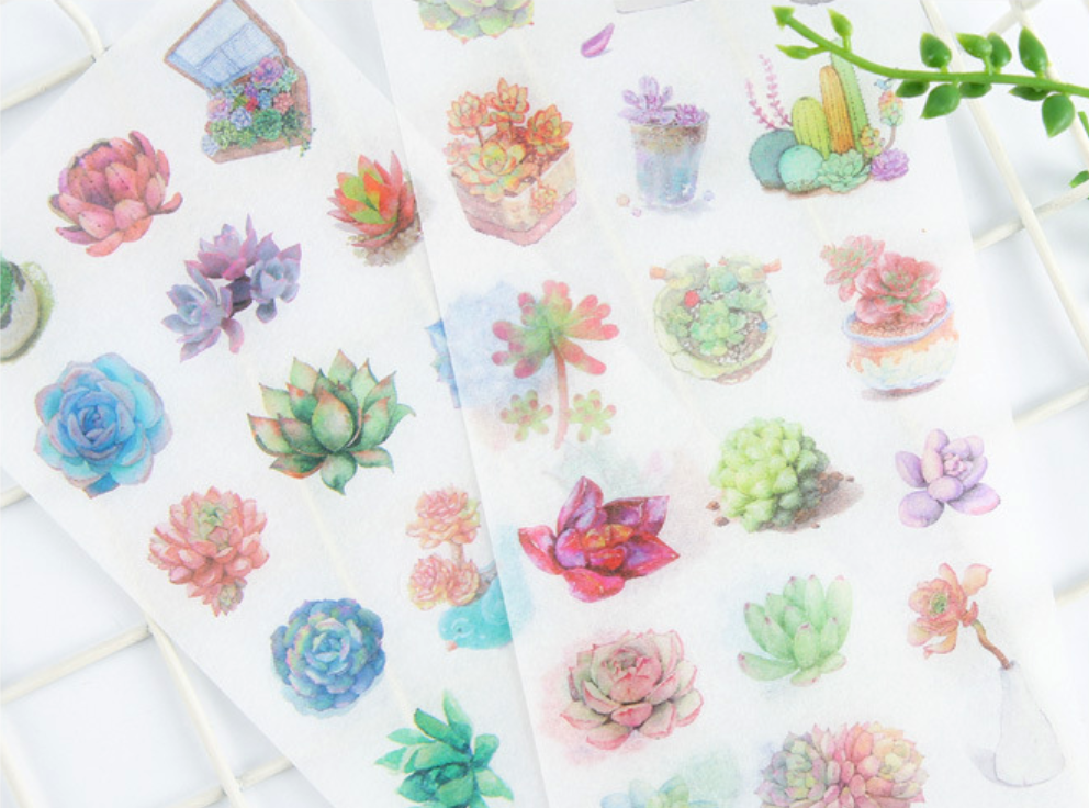 Watercolor Succulent Plant Stickers 6-Pack