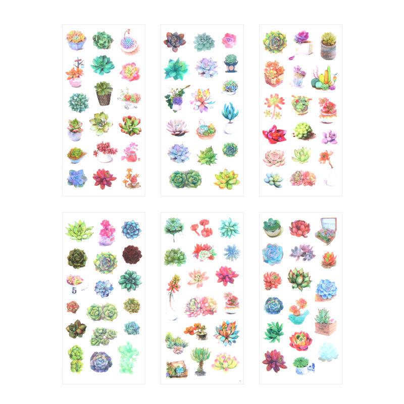 Watercolor Succulent Plant Stickers 6-Pack