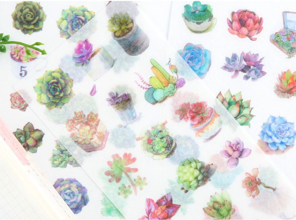 Watercolor Succulent Plant Stickers 6-Pack