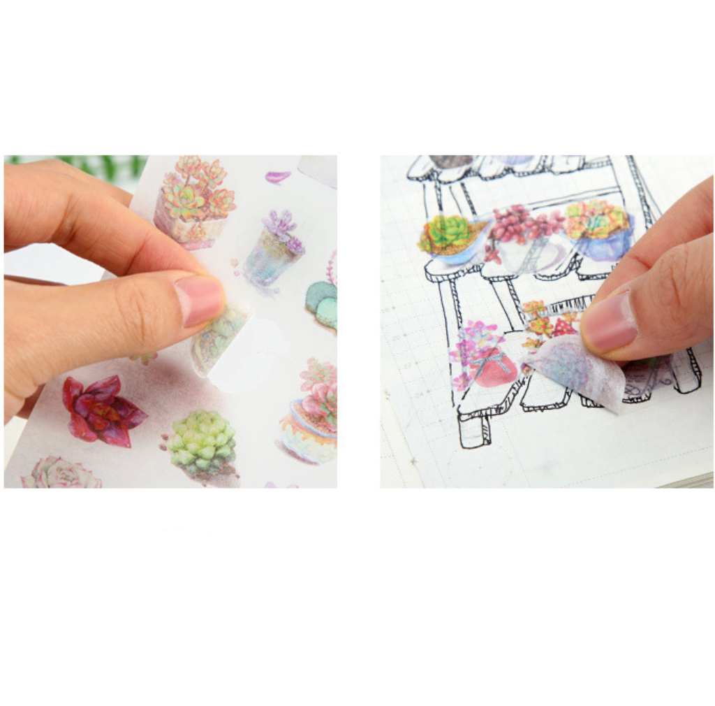 Watercolor Succulent Plant Stickers 6-Pack