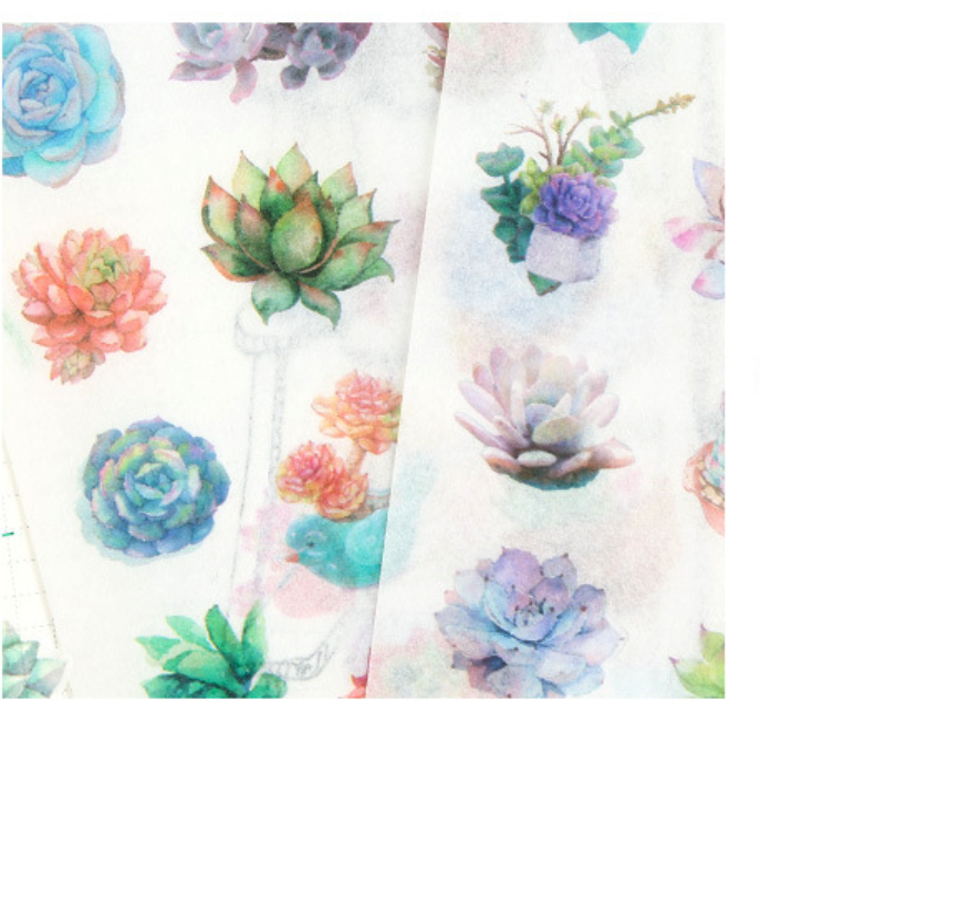 Watercolor Succulent Plant Stickers 6-Pack