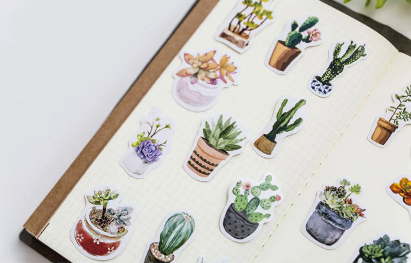 Watercolor Succulent Plant Stickers 6-Pack - Kawaii Pen Shop - Cutsy World