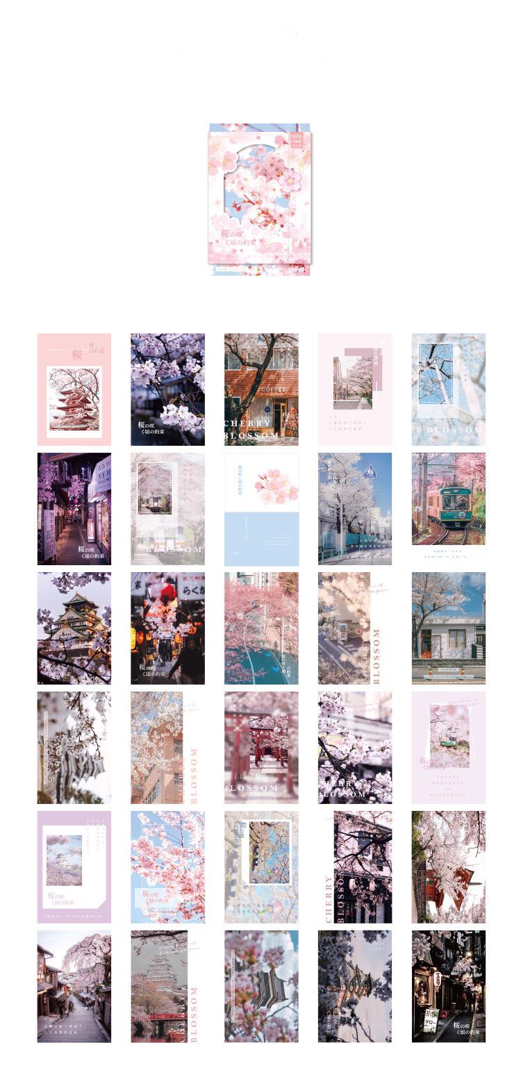 Sakura Japan Travel Greeting Cards