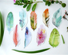 Watercolor Feather Greeting Cards