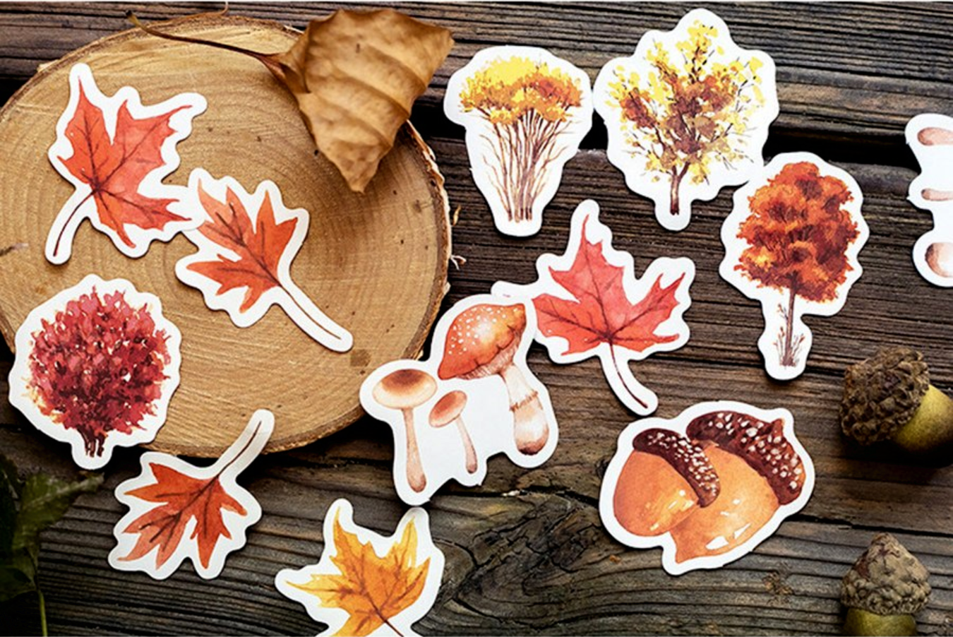 Watercolor Autumn Forest Paper Stickers