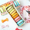 Mini Macaron Eraser Set