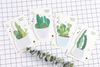 Cactus Love Sticky Notes