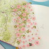 Japanese Sakura Cherry Blossom Stickers