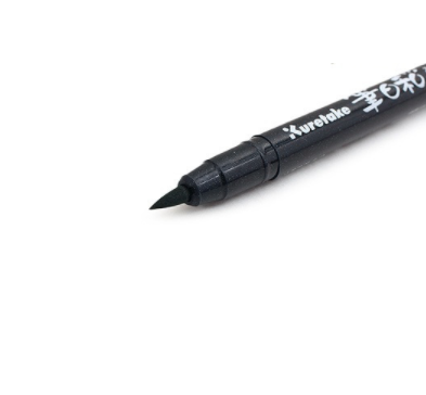 Kuretake Fudebiyori Brush Pen - 12 Color Set