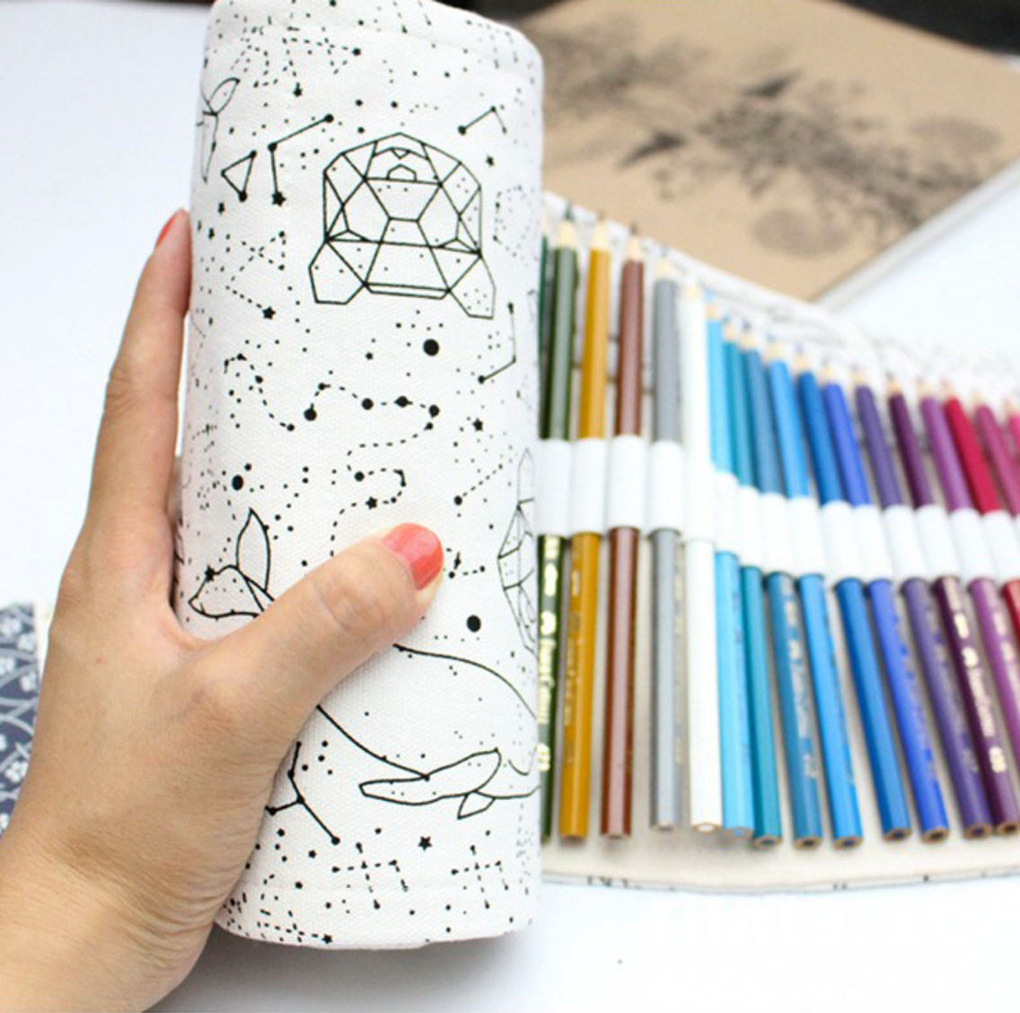 Star Constellations Roll Up Pencil Case