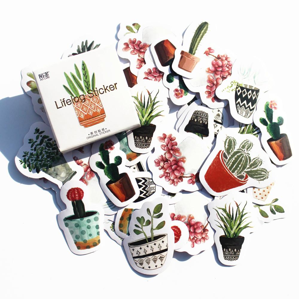 Succulent Plant Paper Stickers