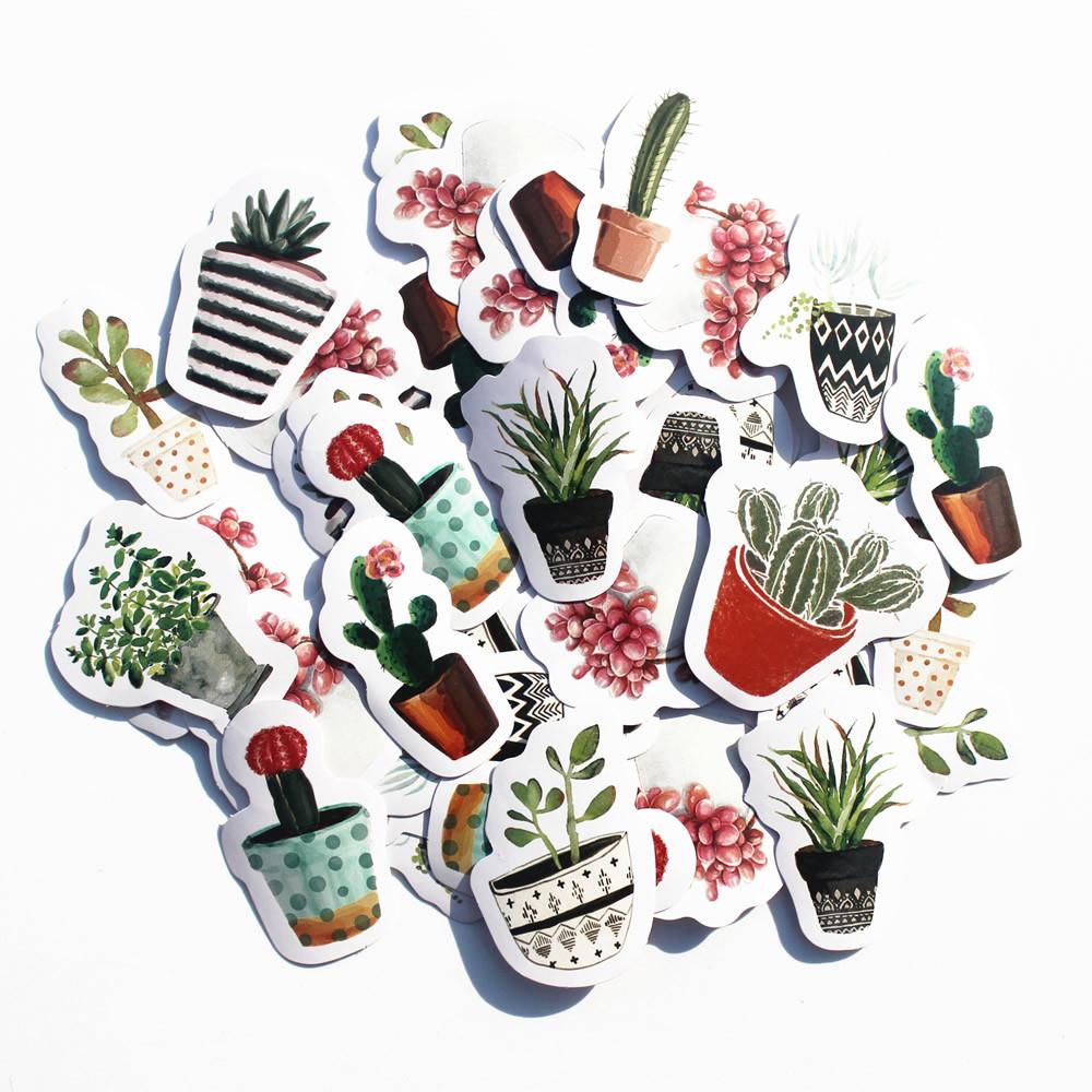 Succulent Plant Paper Stickers