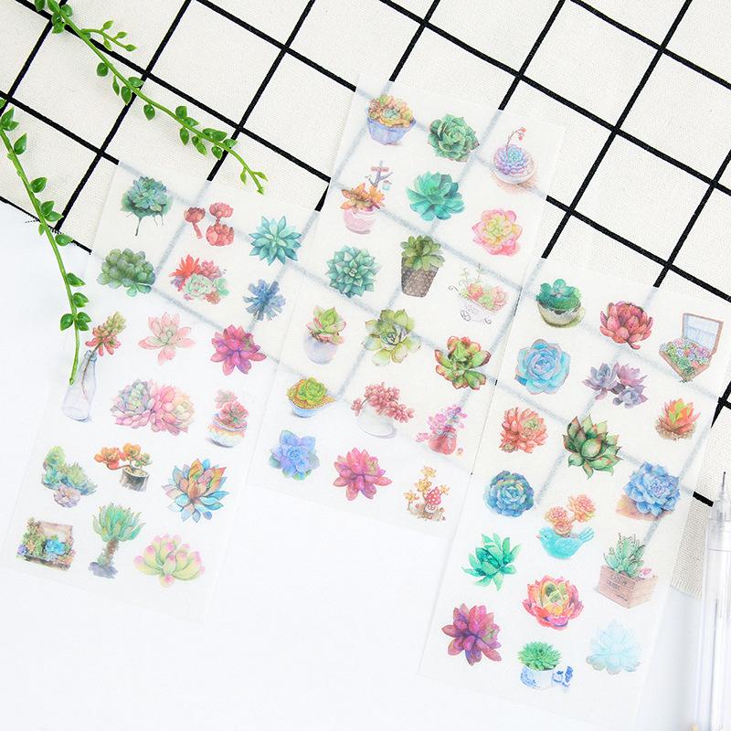 Watercolor Succulent Plant Stickers 6-Pack - Kawaii Pen Shop