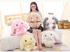 Kawaii Cute Bunny Backpack & Plush Toy