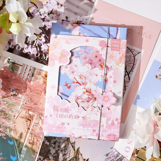 Sakura Japan Travel Greeting Cards