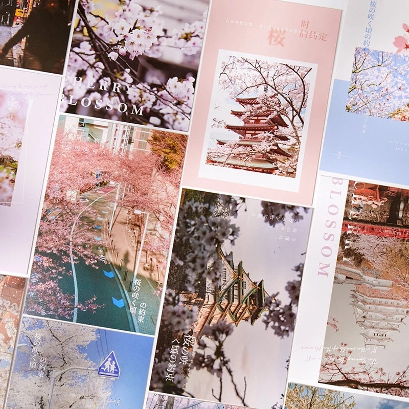 Sakura Japan Travel Greeting Cards