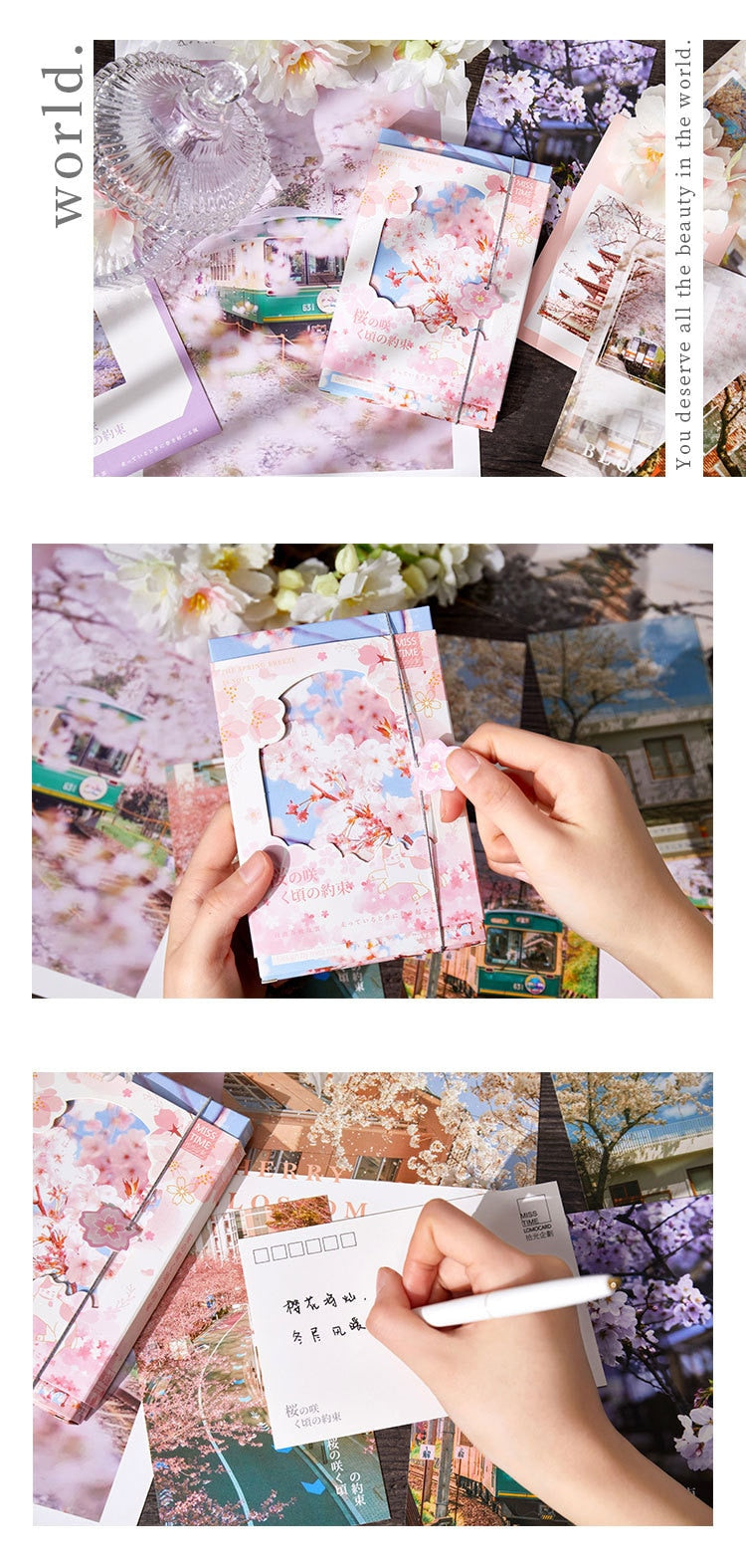 Sakura Japan Travel Greeting Cards