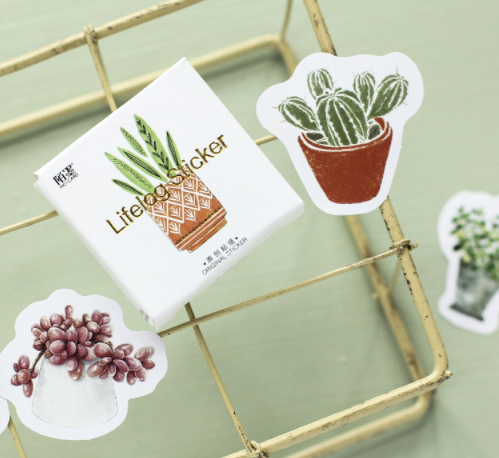 Succulent Plant Paper Stickers