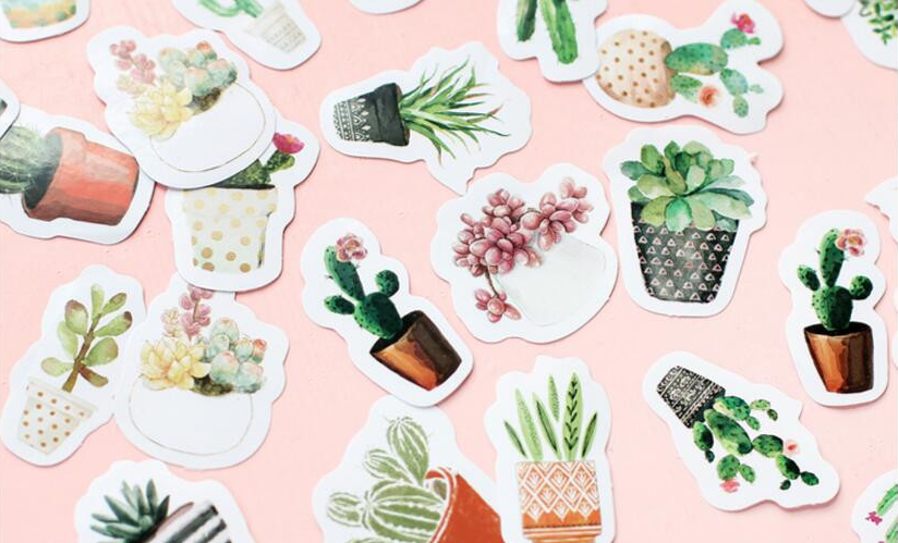 Succulent Plant Paper Stickers