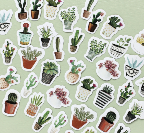 Succulent Plant Paper Stickers